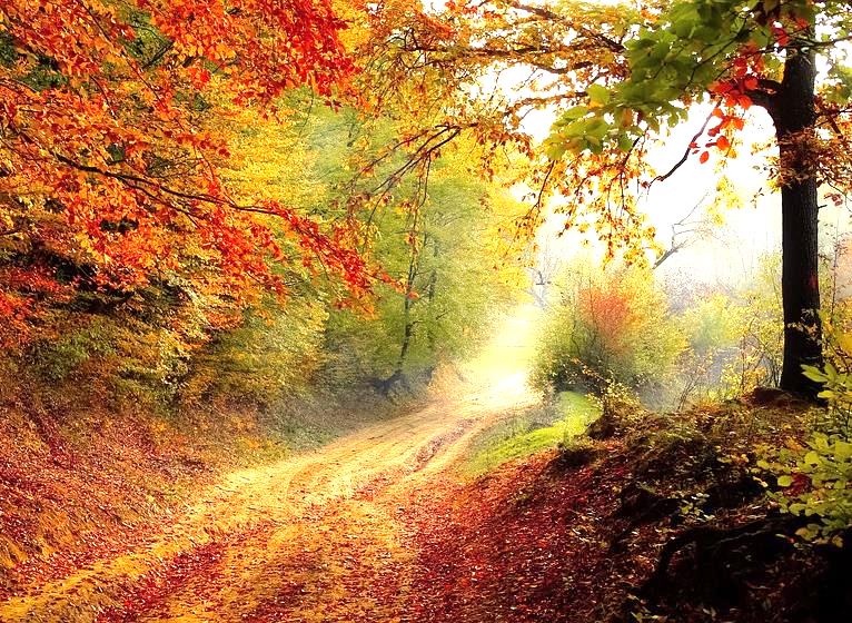 Herbst (c) Pixabay