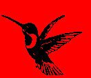 Kolibri (c) Kolibri