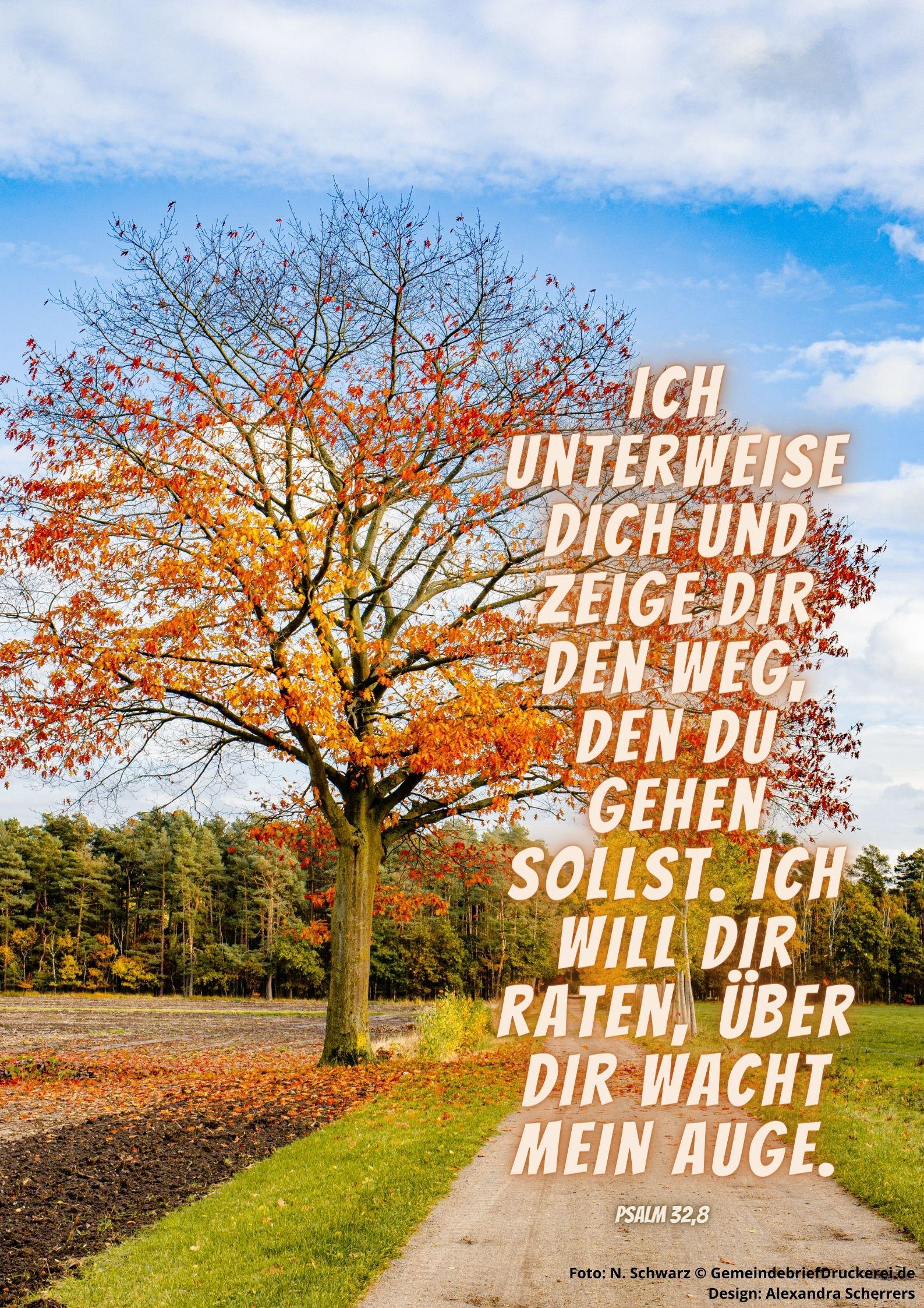 Psalm 32,8 (c) Foto: N. Schwarz © GemeindebriefDruckerei.de / Design: A. Scherrers